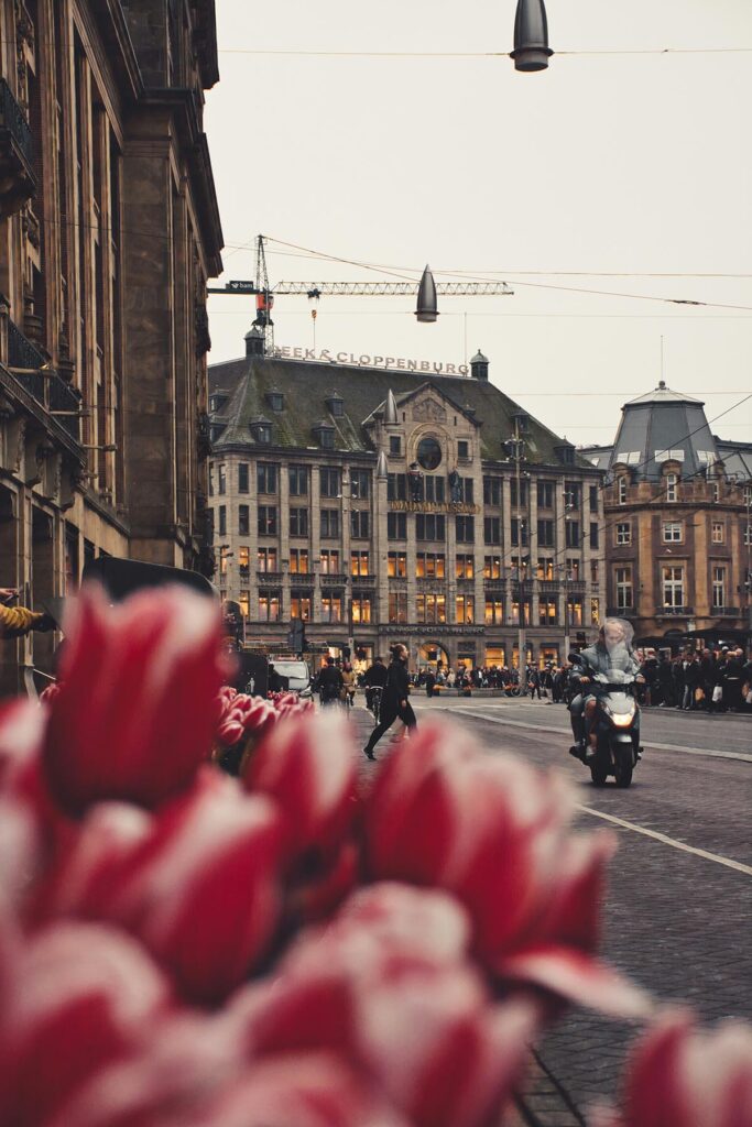 Svetske metropole amsterdam